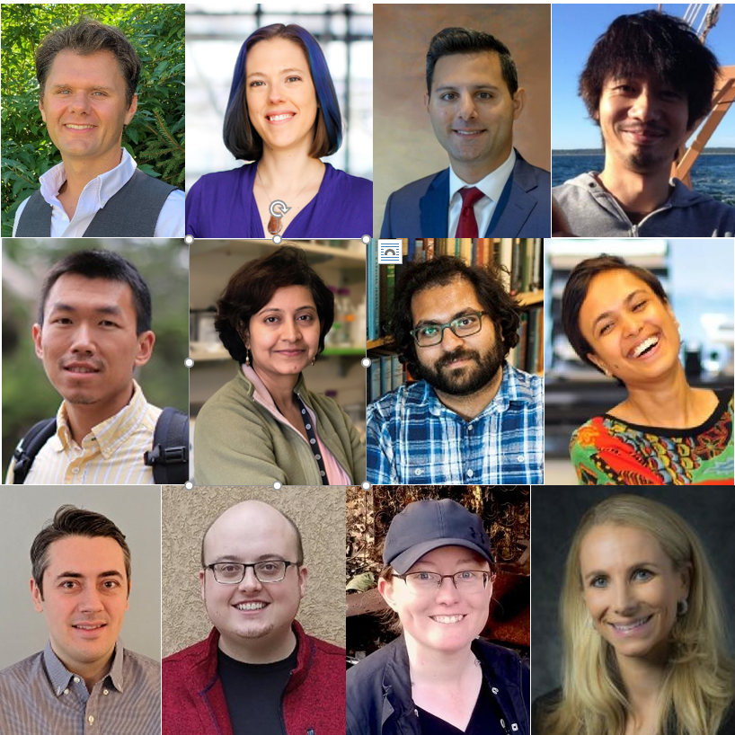 DLS New Faculty