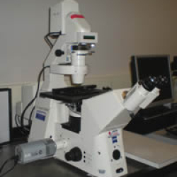 Human Genetics Institute Imaging Facility