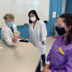Returning to the Lab: Microbiology for the Health Sciences