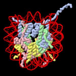 Molecular Biology and Biochemistry